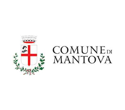 Comune di Mantova - Luminarie Guagliata